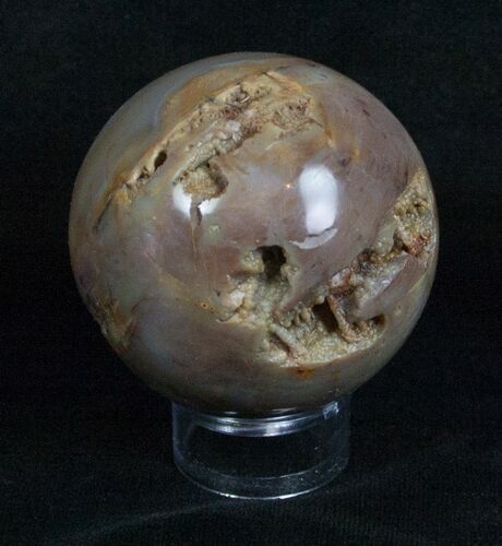 Inch Petrified Wood Sphere #4037